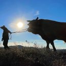 멍에목장 이미지