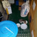 쁘띠아르브르 이미지