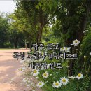 도림사오토캠핑리조트 | 여름 물놀이 핫플 예약! 도림사 오토캠핑리조트 전격 리뷰