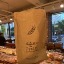 홍미 | 순천 맛집 베이커리 조훈모과자점 내돈내산 후기 메뉴추천