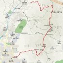 양지-21 이미지