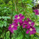 사천갑부공인중개사사무소 이미지