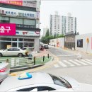 펫버스 이미지