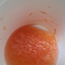 YELLOWBERRY 이미지