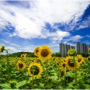 단원구청 이미지