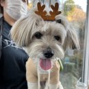 동부산팜 이미지