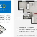 올리브 비치 이미지