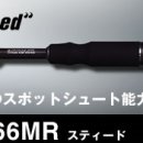 애버그린 이미지