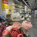 국대정형외과의원 이미지