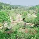황학산수목원 이미지