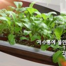 화분들닷컴 - 영도구 샛별길 97 | 화분들닷컴