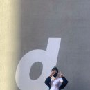 댕유 이미지