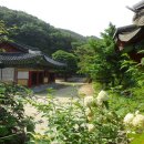 성연목장 이미지