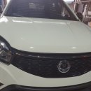 박 CARS 이미지