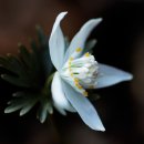 구름자리 이미지