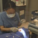 다음치과의원 이미지