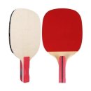 탁구(중급) 이미지