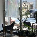 떡보의하루송촌점 | [대전카페] 사랑스러운 떡보와 화목하고 평화로운 공간 “사랑과 화평”
