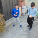 칼림바&우쿠렐레 이미지