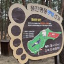 구산유치원 | 경북 울진여행 카라반 캠핑 아이와 반려견과 함께 구산해수욕장 월송정 ㅣ 자연과 함께라 즐거운 육아