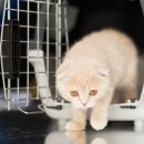 참누리동물병원 이미지