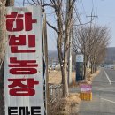 하빈농장 이미지