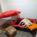 행복한그림이 이미지