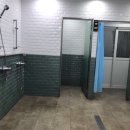 로키 스위밍 클럽 이미지