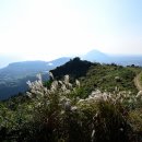 사계포구 이미지