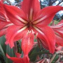 신길7동주민센터 이미지