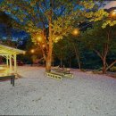 하방소 포레스트 이미지