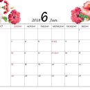 컴벳다이어트짐 이미지