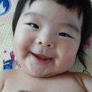 고란 이미지