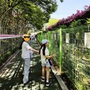 필(feel) | 2025 이곡장미공원 장미꽃 필(Feel) 무렵 축제 방문 후기