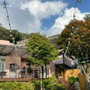 스테이 태정93 이미지