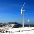 머리목장 이미지