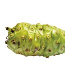 노니 필라테스 이미지