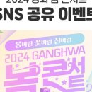 강화 봄 콘서트 이미지