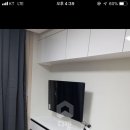 에코리사 이미지