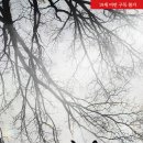 차영