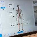 지니피트니스 | 일산풍동 체형관리 추천 피트니스돔 + 등관리 순환 후기 스페이스뷰티