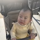 더10월 | [김해 가야랜드 후기] 애보다 내가 더 뛰어다님 (10월말 저녁 찬바람 에디션)