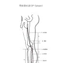 족음경락(negative Leg Meridians) 이미지