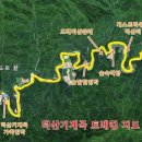 숲속농원민박 이미지