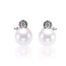 아도니스 이미지