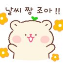 서경차돌해물 이미지