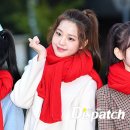 포토팡팡
