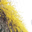 문수산산행18.3.29일 이미지