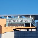 The 봄 PC CAFE | 보령 대천항 오션뷰 카페 봄 나들이| 바다듬 루프탑 카페 솔직 후기