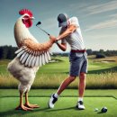 에이스GDR아카데미 이미지